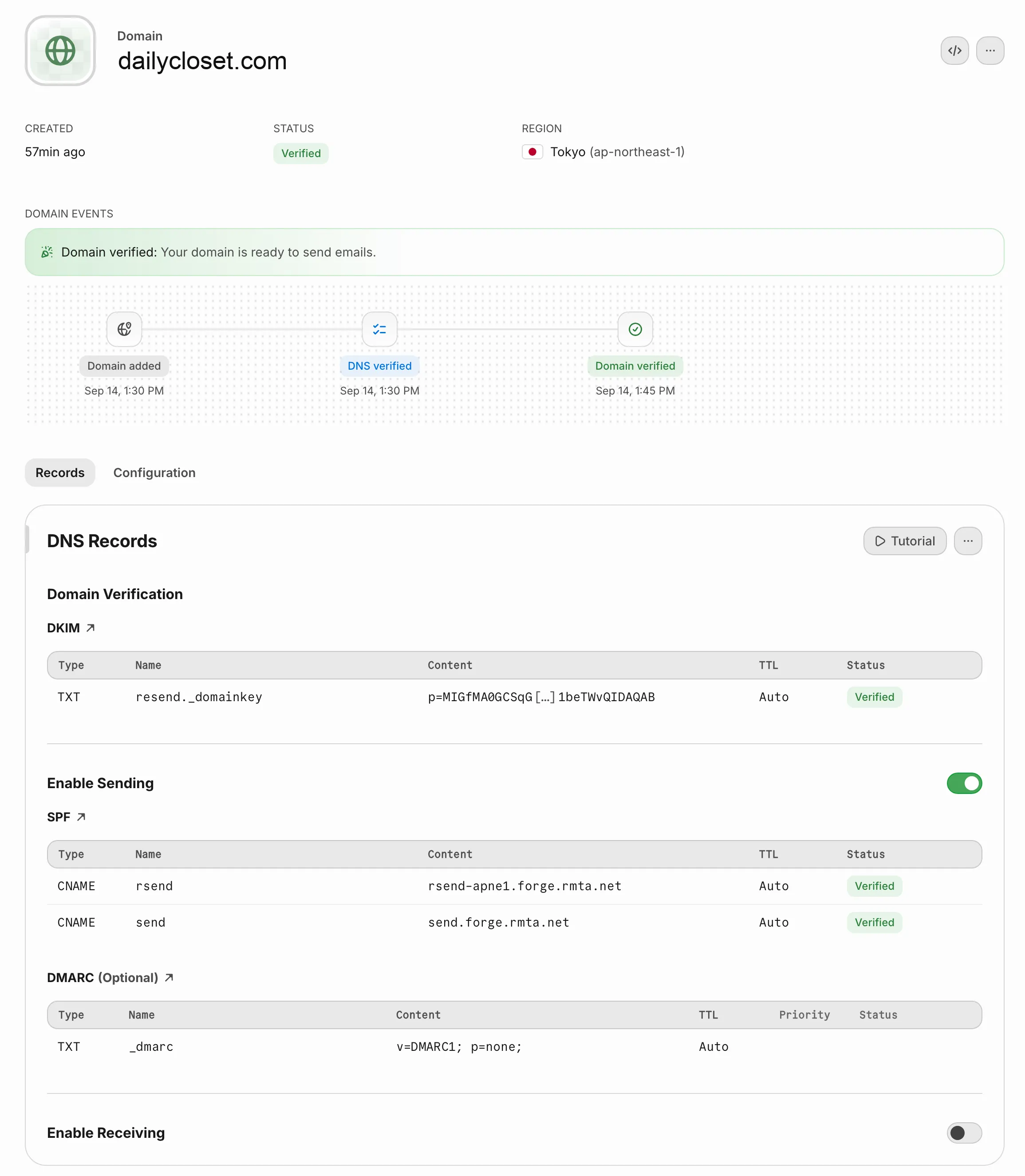 认证完成后的域名画面。Status 为 Verified,DNS Records 的每一行上也都带着 Verified 标记